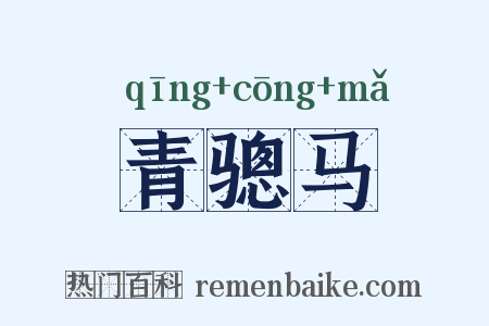 青骢马是什么意思的图片
